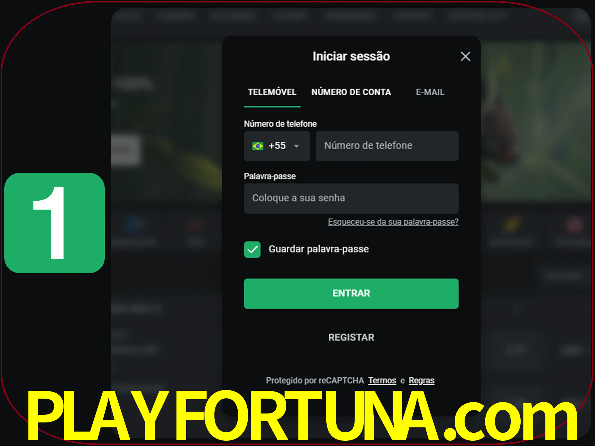 Clique no botão Entrar.